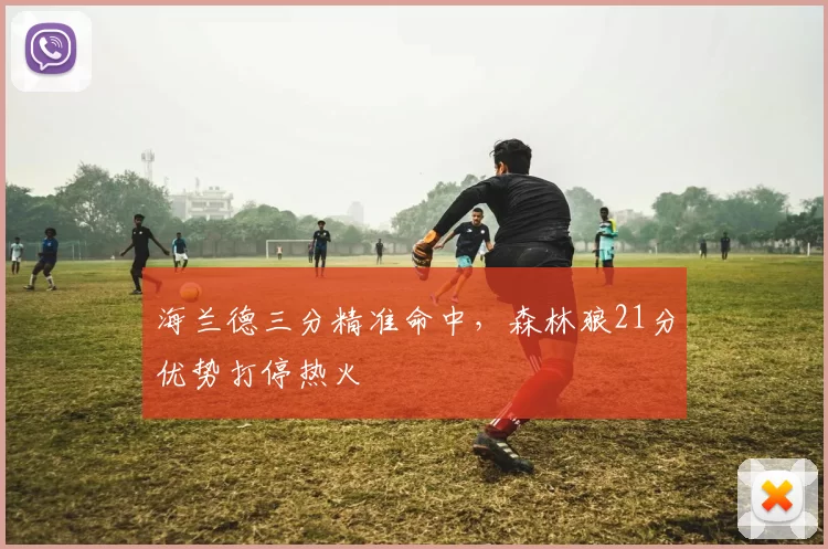 海兰德三分精准命中，森林狼21分优势打停热火