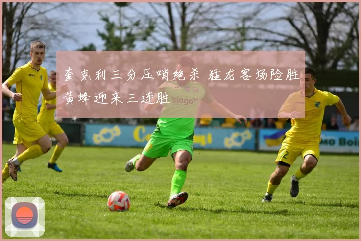 奎克利三分压哨绝杀 猛龙客场险胜黄蜂迎来三连胜