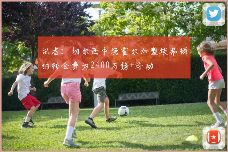 记者：切尔西中场霍尔加盟埃弗顿的转会费为2400万镑+浮动