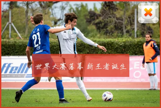 世界大赛落幕 新王者诞生