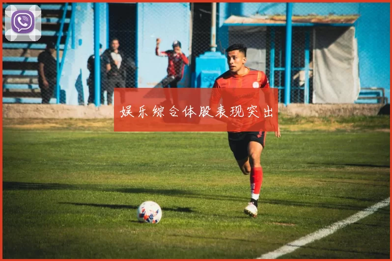 娱乐综合体股表现突出