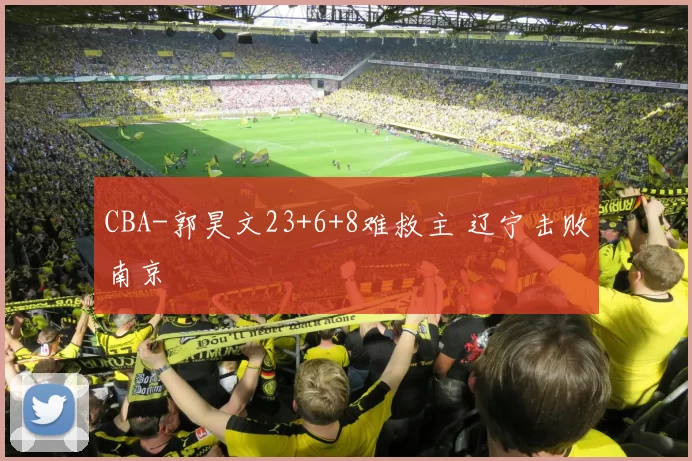 CBA-郭昊文23+6+8难救主 辽宁击败南京