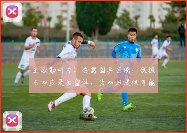 王励勤叫苦！透露国乒困境，樊振东回应是否留洋，为回归提供可能